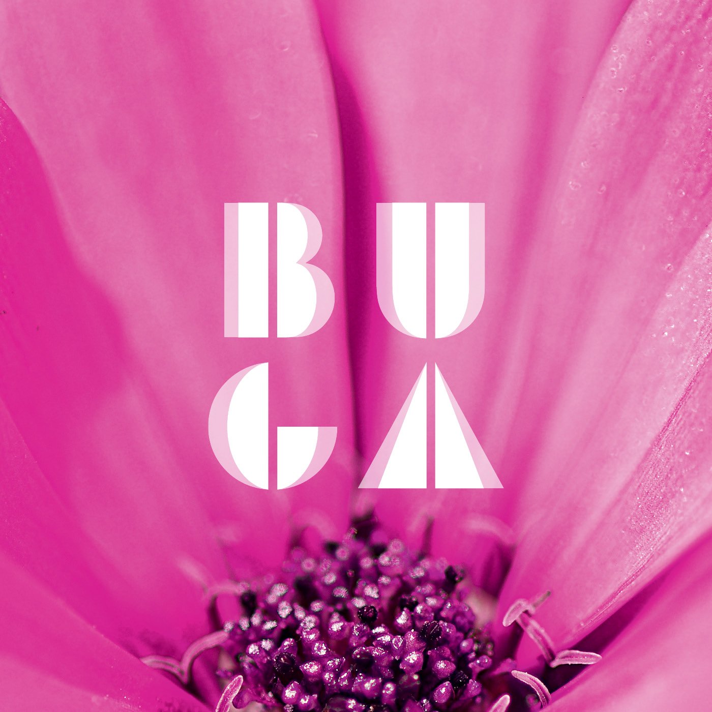 Bundesgartenschau Heilbronn Branding – Logo